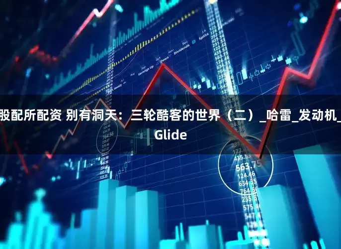 股配所配资 别有洞天：三轮酷客的世界（二）_哈雷_发动机_Glide
