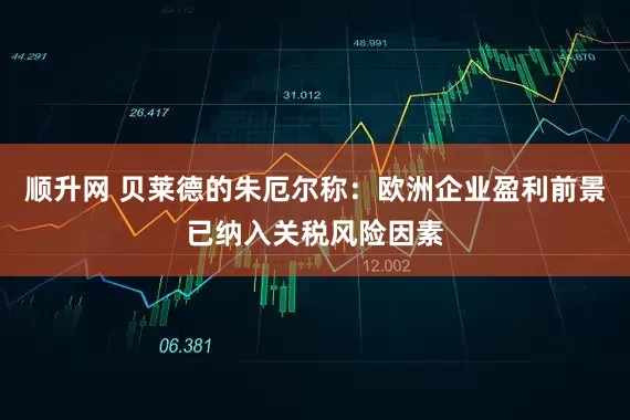 顺升网 贝莱德的朱厄尔称：欧洲企业盈利前景已纳入关税风险因素