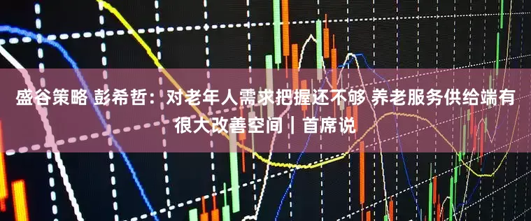 盛谷策略 彭希哲：对老年人需求把握还不够 养老服务供给端有很大改善空间｜首席说