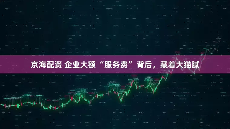 京海配资 企业大额 “服务费” 背后，藏着大猫腻